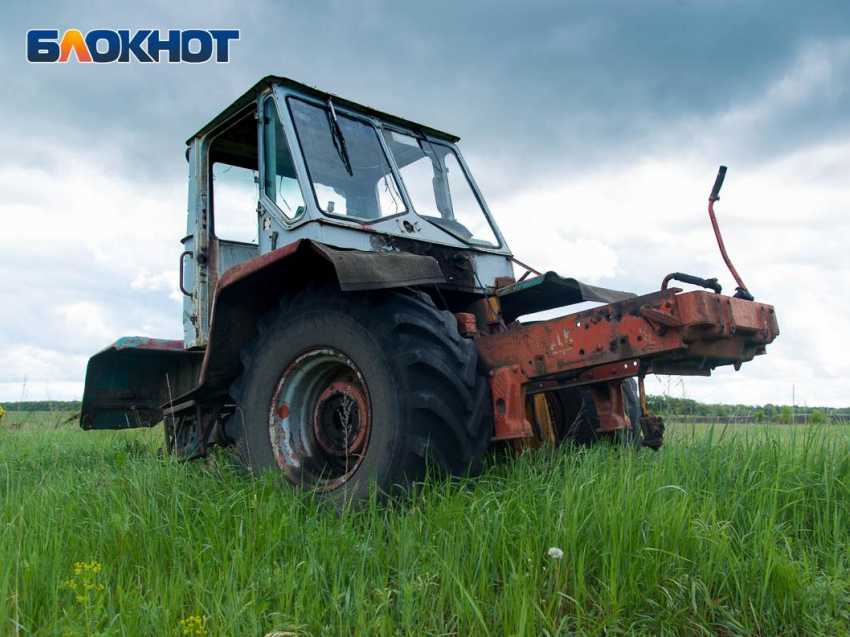 В Воронежской области возникли проблемы с урожаем из-за переувлажнения почв