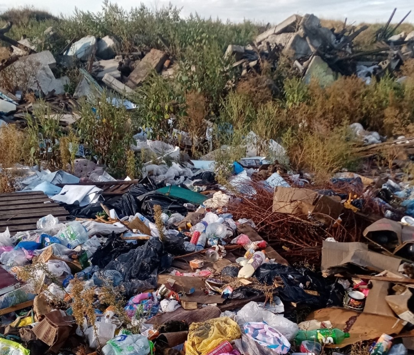 Незаконная свалка растёт в Воронежской области