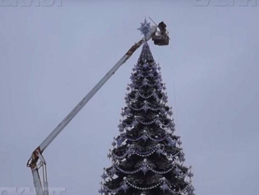 Мэрия сэкономила на установке главной новогодней ели Воронежа более 600 тысяч рублей