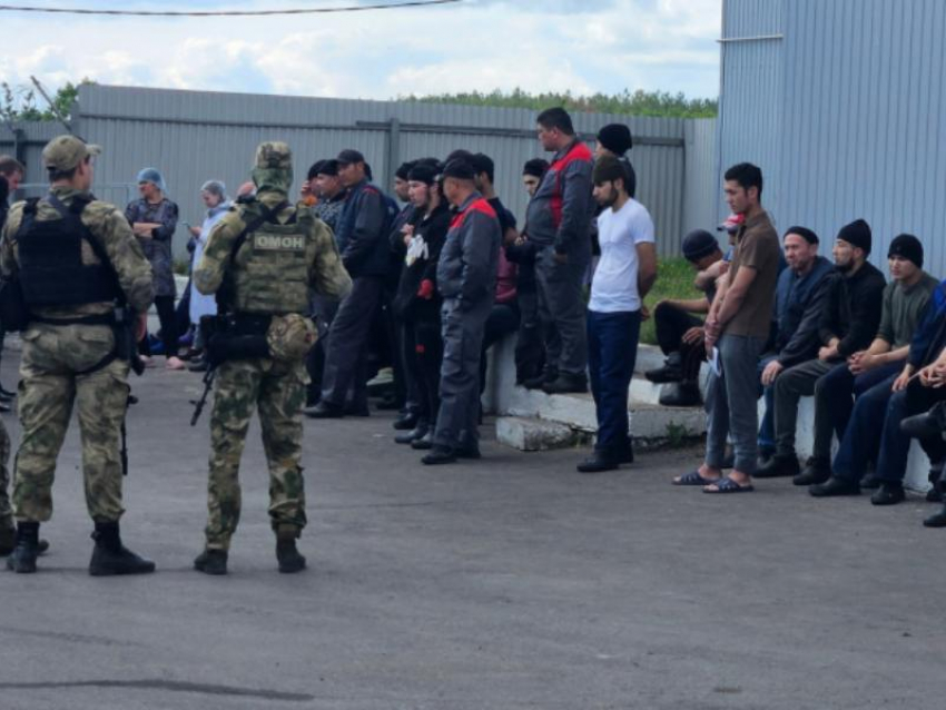 Миллионы рублей потратят на билеты в один конец для воронежских нелегалов 