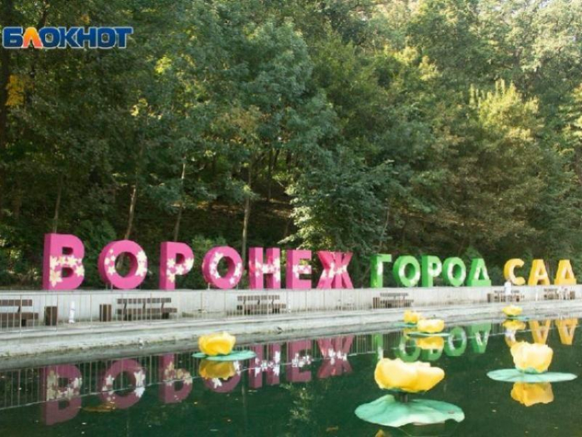 Почти в пять миллионов рублей обойдется охрана фестиваля «Город-Сад» в Воронеже 