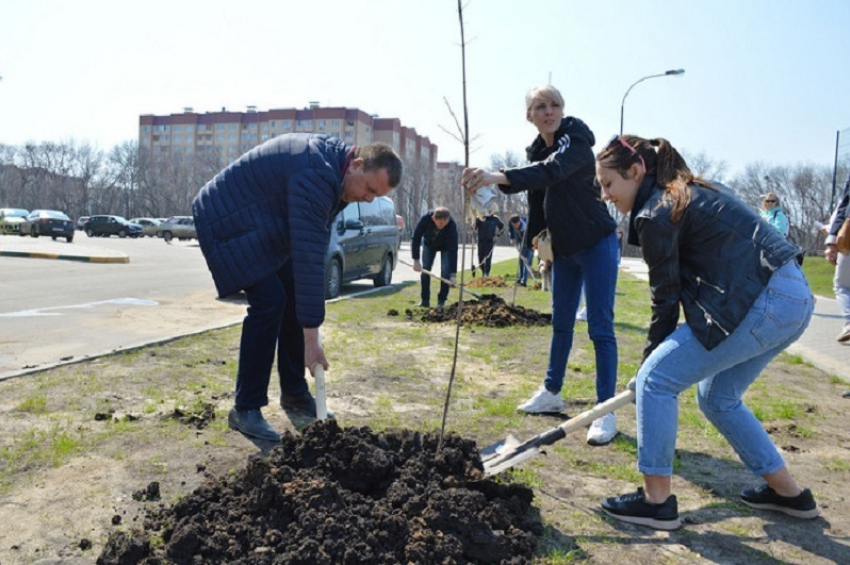 В Воронеже появилась новая аллея деревьев 