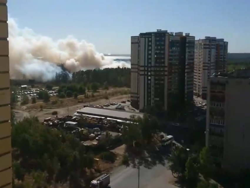 Мощный лесной пожар подбирается к жилым домам в Воронеже