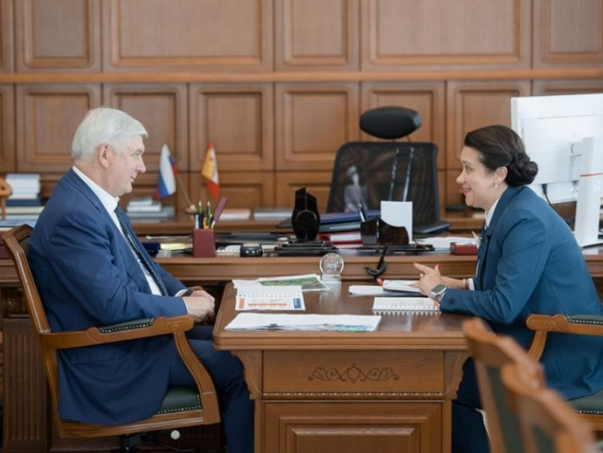 Новую программу поддержки рождаемости представили воронежскому губернатору 