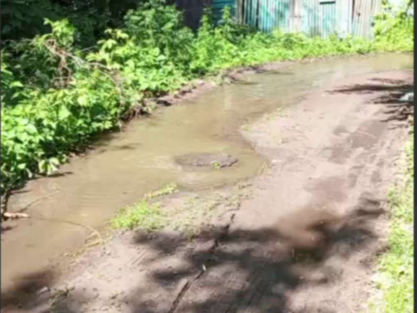 Зловонный ручей впадает в Воронежское водохранилище
