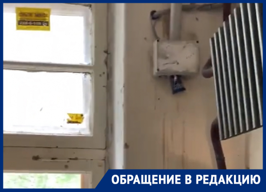 «Нашествие блох было предсказуемо»: в Воронеже показали подъезд дома, из которого эвакуировали детский сад