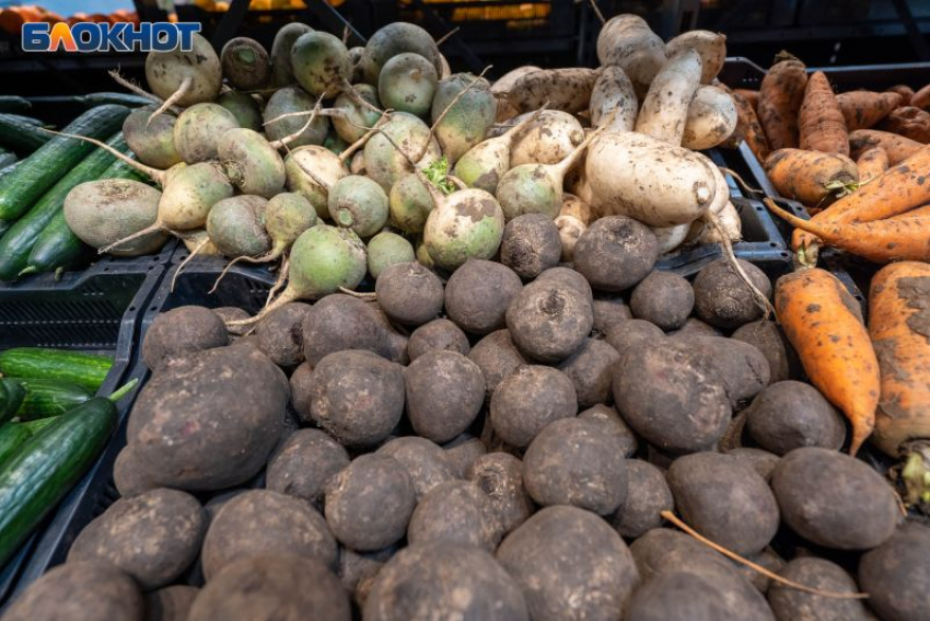 Три тонны сомнительных овощей, ягод и грибов изъяли у продавцов в Воронежской области