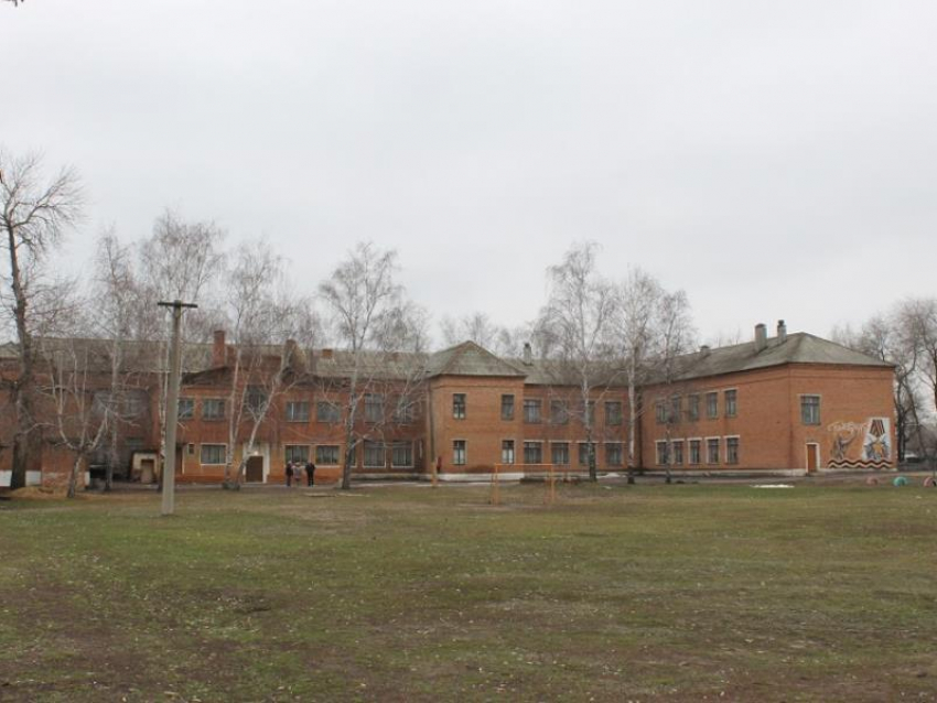 Жалкое состояние 83-летней школы показали на фото в Воронежской области