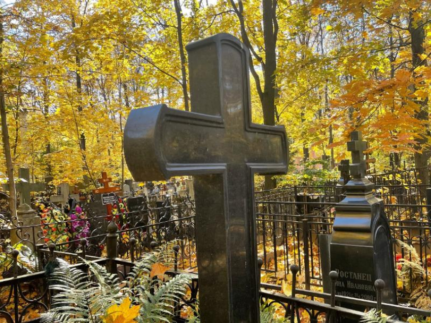 "Это не особо сбыточная мечта", – новое кладбище не появится в Воронеже