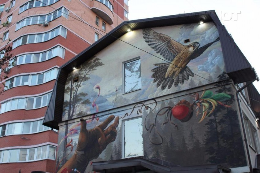 Уличные художники создадут масштабные граффити в центре Воронежа