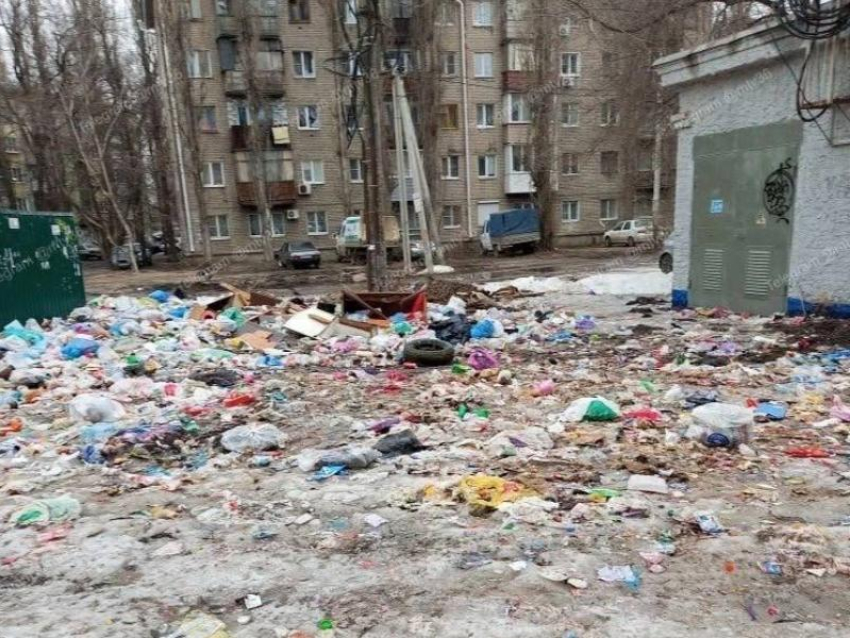 «Стая у школы и горы мусора»: двор в Воронеже превратился в опасную свалку
