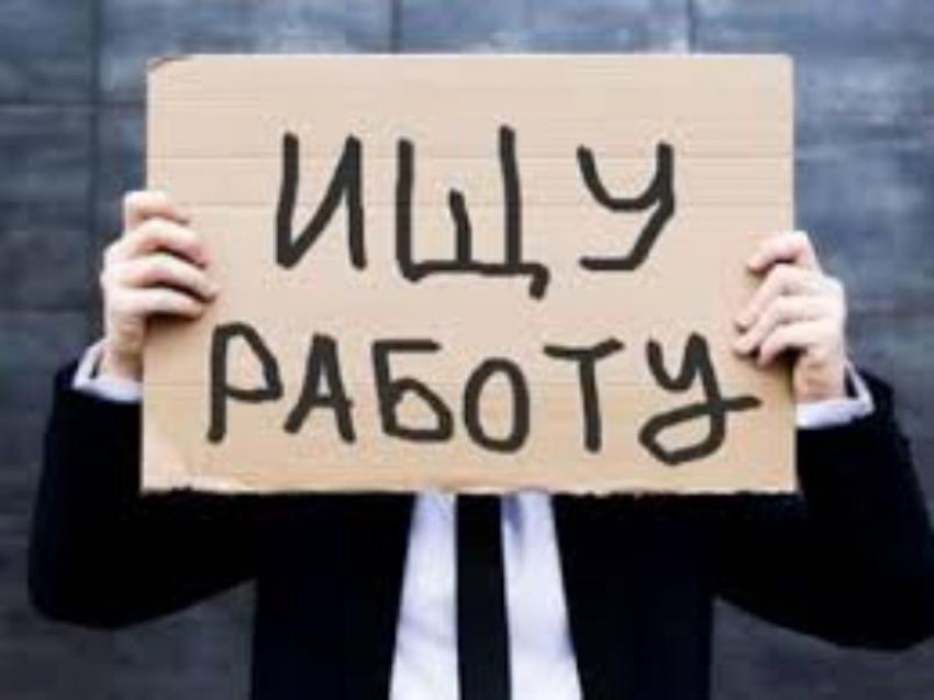 Рост безработицы зафиксировали в Воронежской области