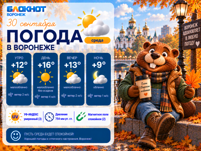 Последний теплый день: каким будет начало октября в Воронеже?