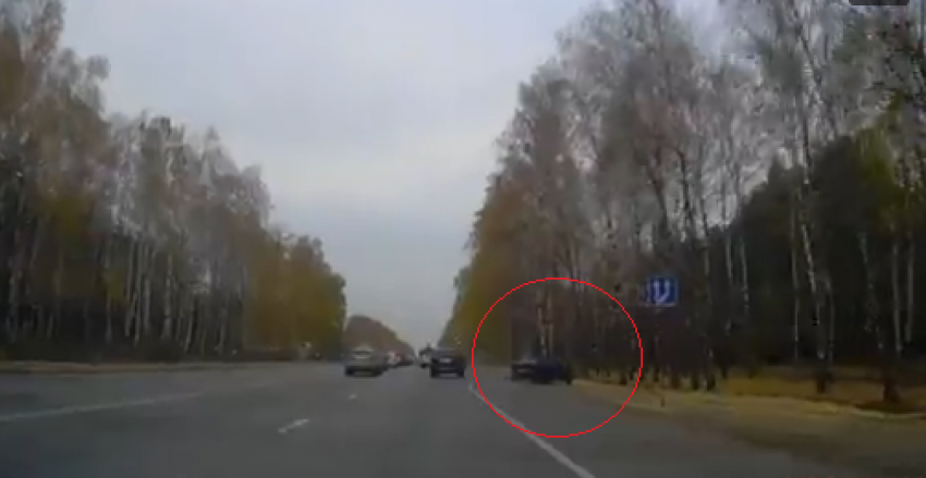 В Воронеже машина врезалась в дерево из-за неудачного маневра  