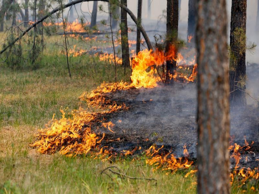 В Воронежской области увеличился класс пожарной опасности