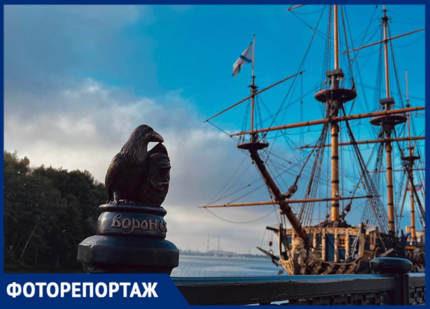 «Ворон и ёж» уже радует горожан в Воронеже