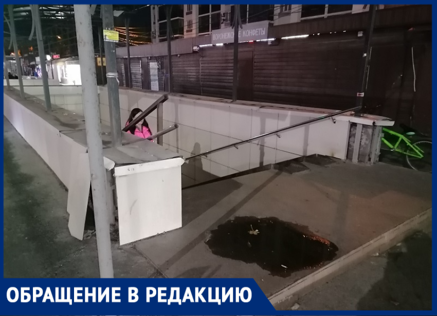 Пожухший подземный переход расстраивает жителей Воронежа 