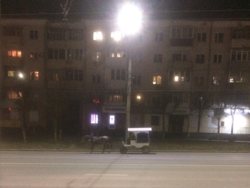 Мини-кибитку, запряженную пони, сняли на фоне вечернего Воронежа