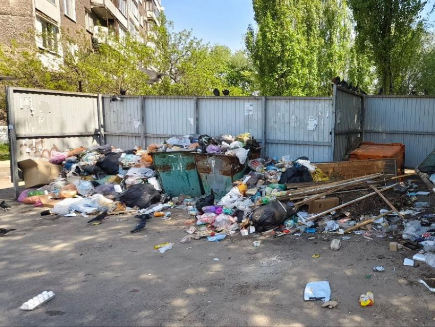 Хроники мусорного коллапса обнажили новые глубины ада в Воронеже