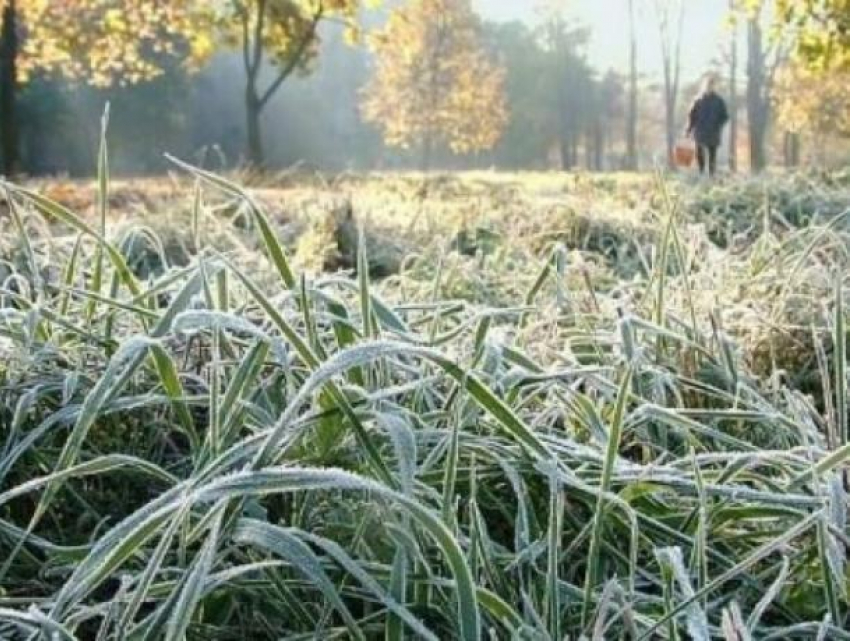 Штормовое предупреждение из-за заморозков объявили в Воронежской области  