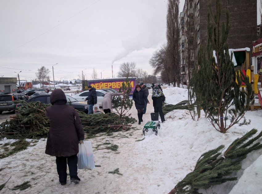 Неприглядный конец елочных базаров показали на фото в Воронеже