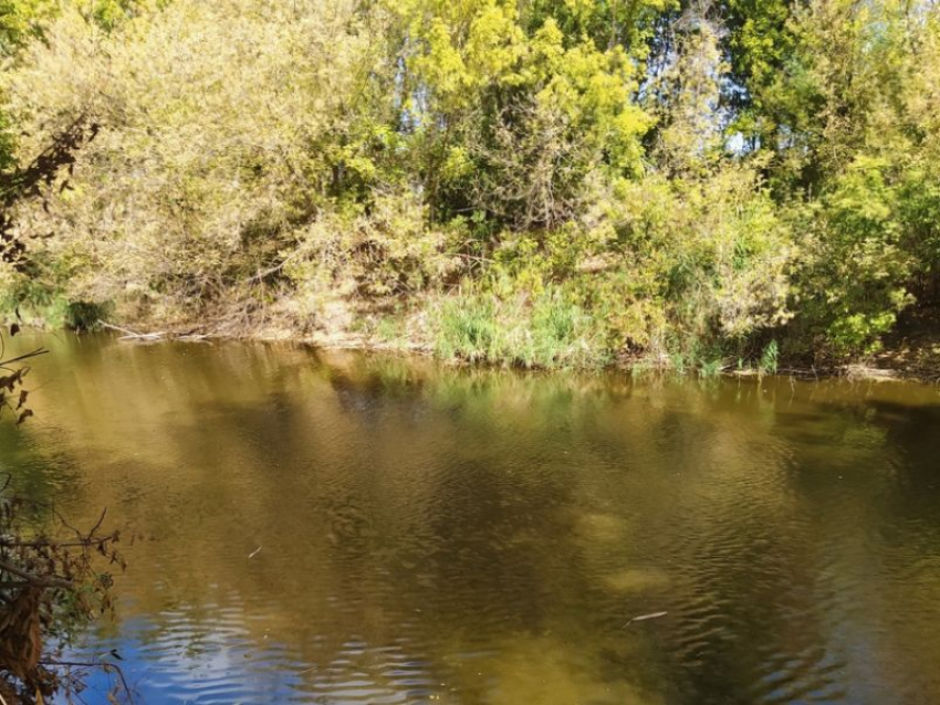 Почти на полметра за сутки поднялся уровень воды в Хопре в Воронежской области