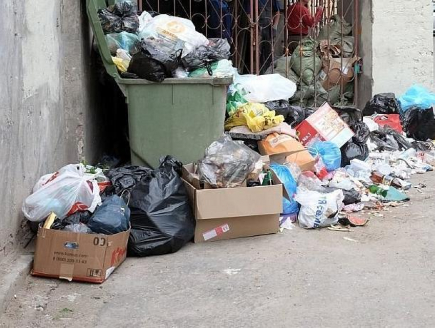 Сотрудники воронежского супермаркета выбрасывали отходы под окна горожан