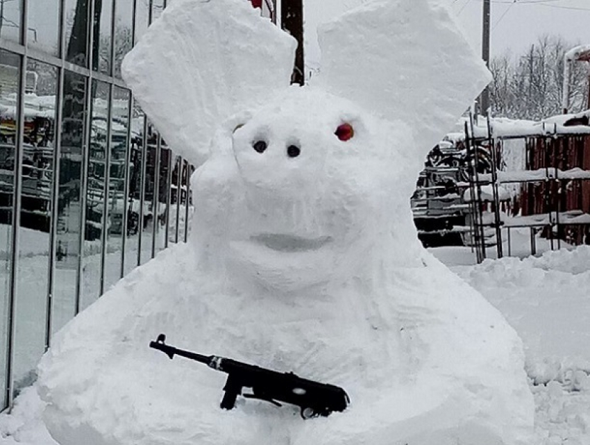 Свинью с немецким автоматом слепили из снега в Воронеже