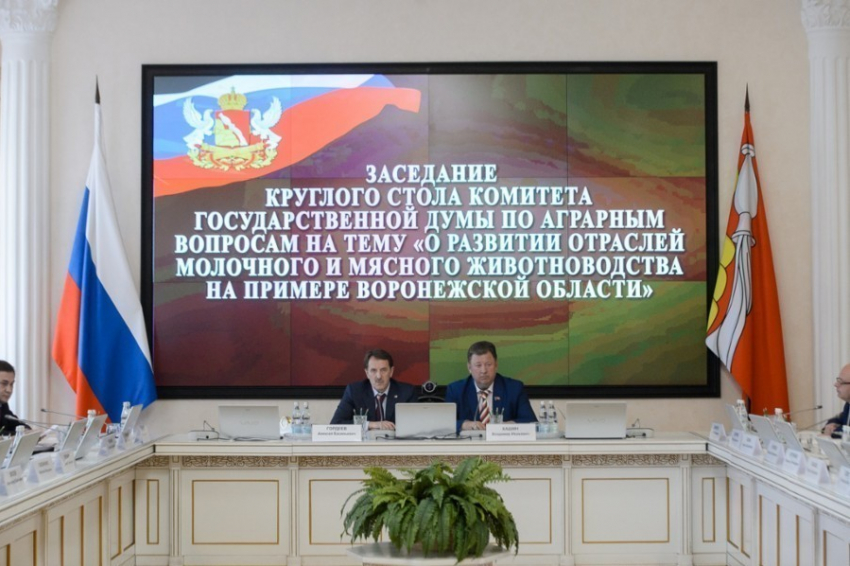 Воронежский губернатор сказал, что надо увеличить финансирование сельской социальной инфраструктуры