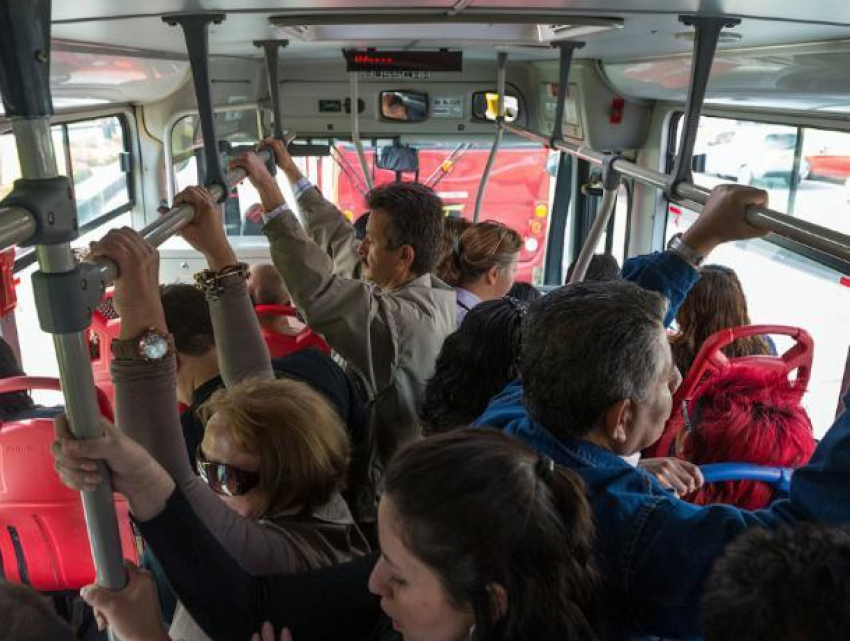 На нескольких маршрутах увеличат количество автобусов в Воронеже