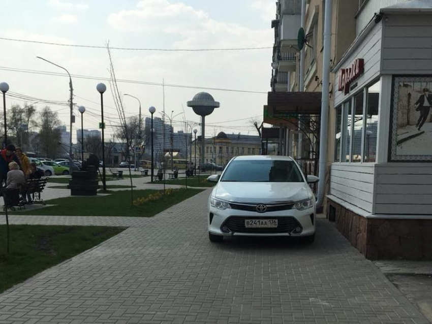 Сквер ученых превратили в бесплатную парковку в Воронеже