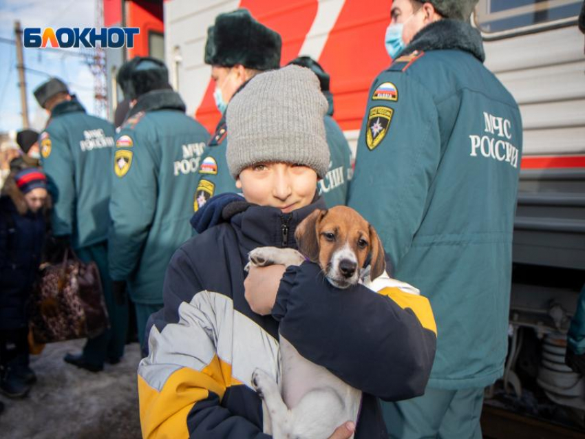 Эвакуированные дети из Донбасса начнут учиться в воронежских школах с 24 февраля