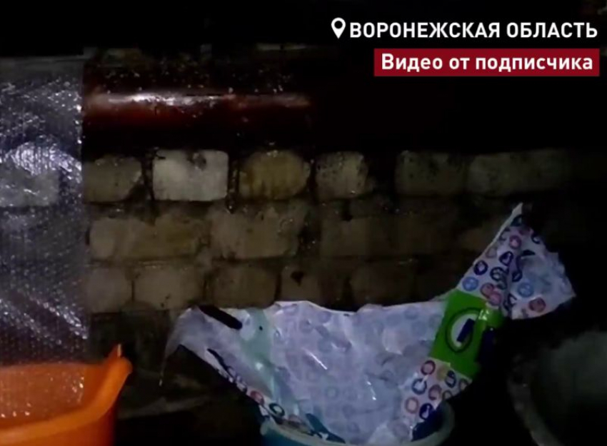 Видео с инфернальным дырявым домом записали воронежские общественники