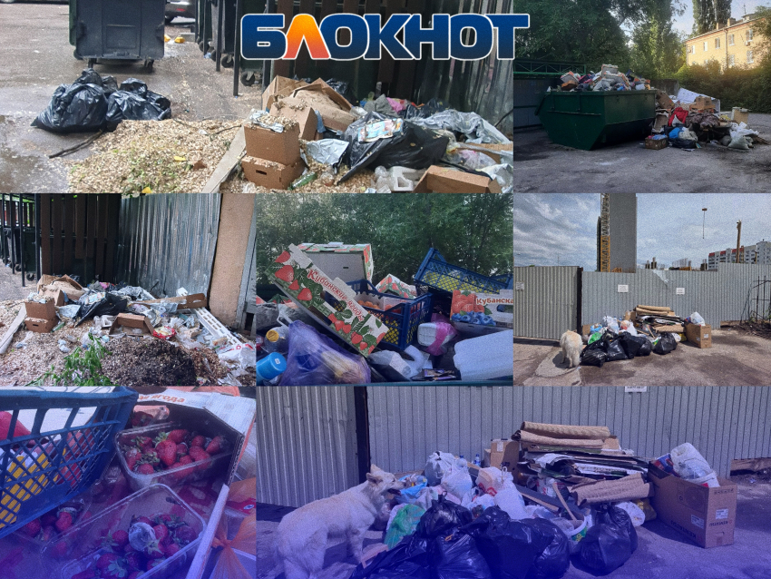 «Одна организация кивает на другую»: контейнеры в два ряда, гнилые овощи с рынка и полугодовая свалка на Коммунаров