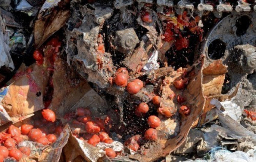 На полигоне «Каскад» в Воронежской области уничтожили 360 килограммов томатов