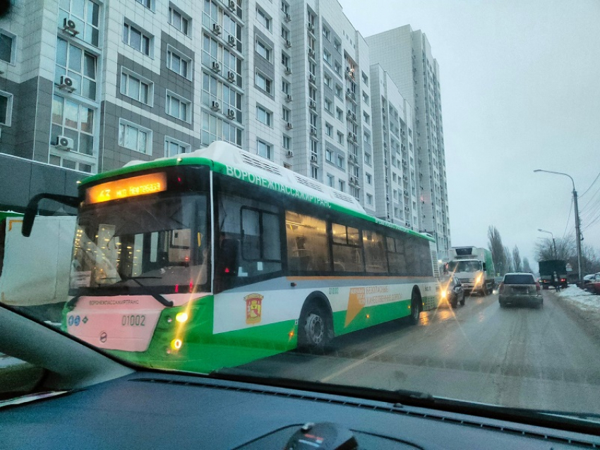 Новые комфортные автобусы закупят власти в Воронеже 