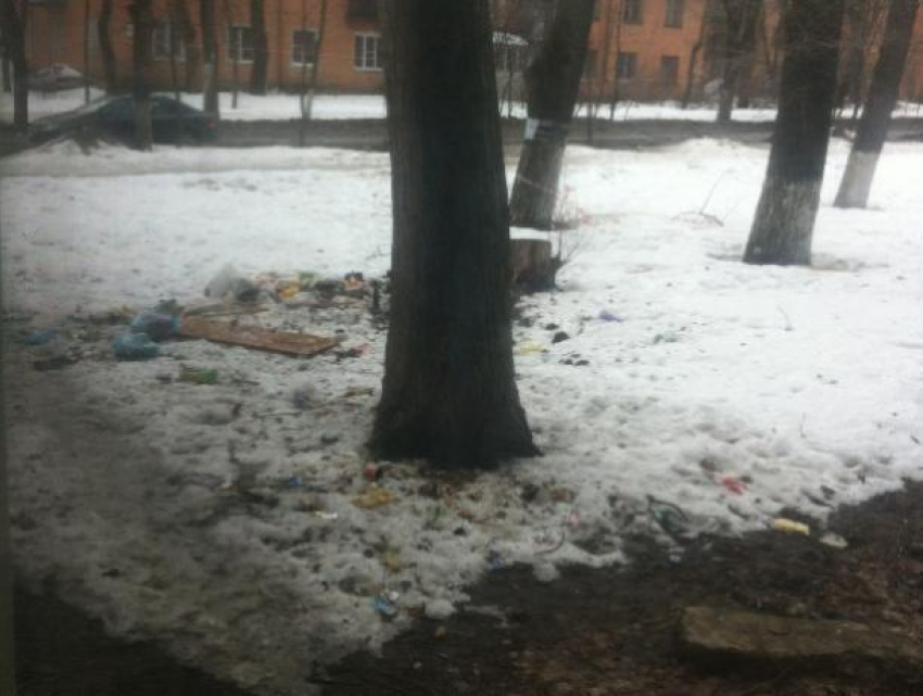 Воронежцев возмутили «свиньи", выбрасывающие мусор из окон
