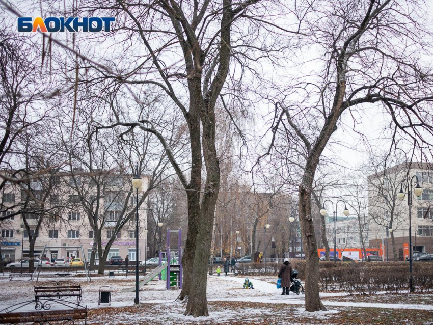 Погода в Воронеже вновь побила температурный рекорд 