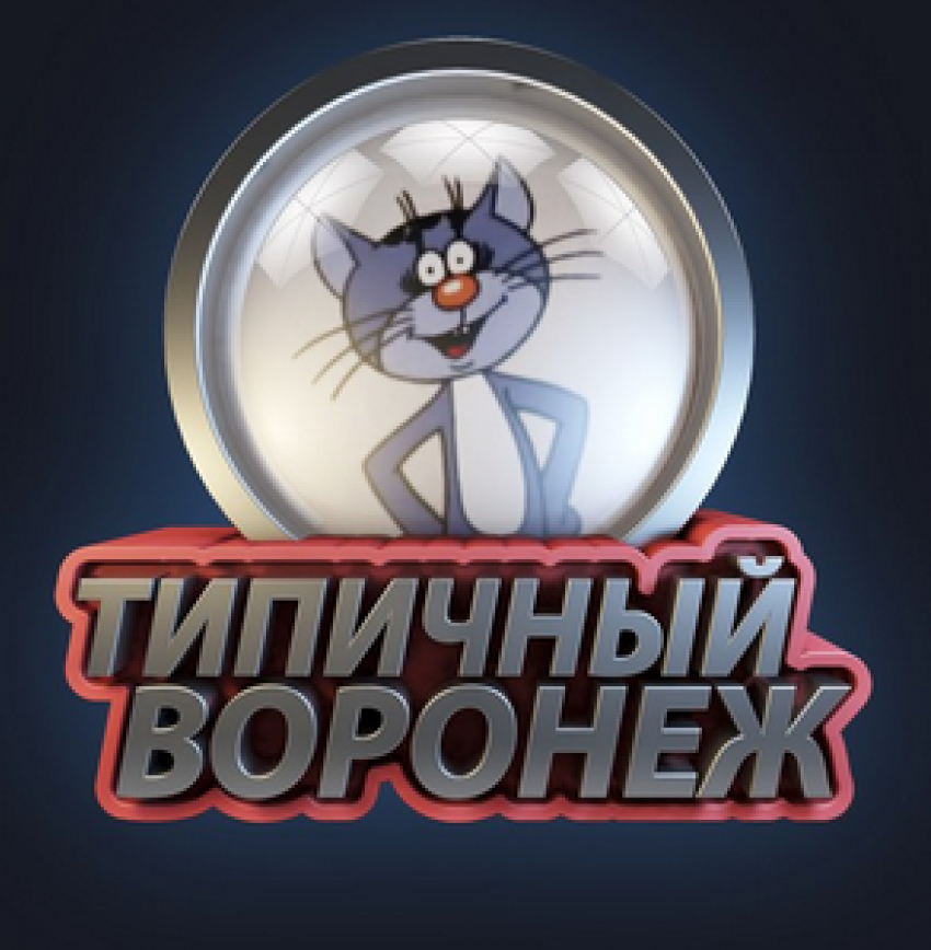 «Типичный Воронеж» вернулся к прежнему владельцу 