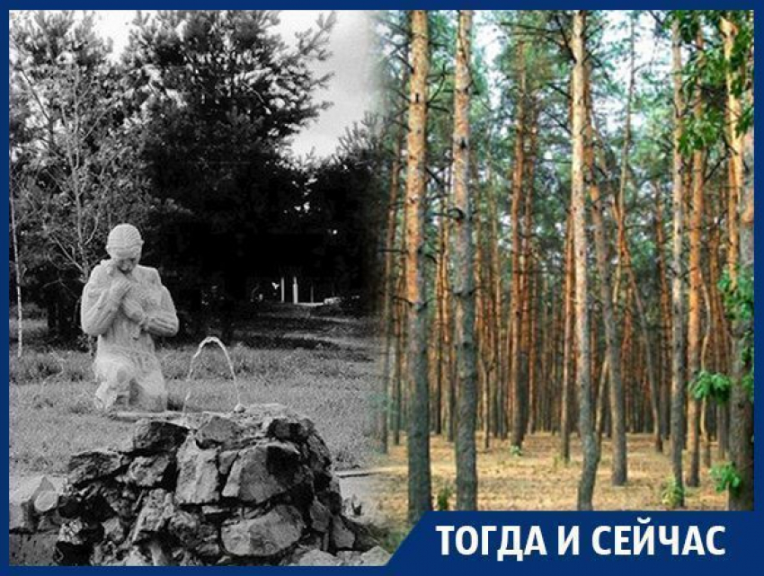 Юго-Западный микрорайон Воронежа – от деградации 90-х до железной дисциплины Аристова