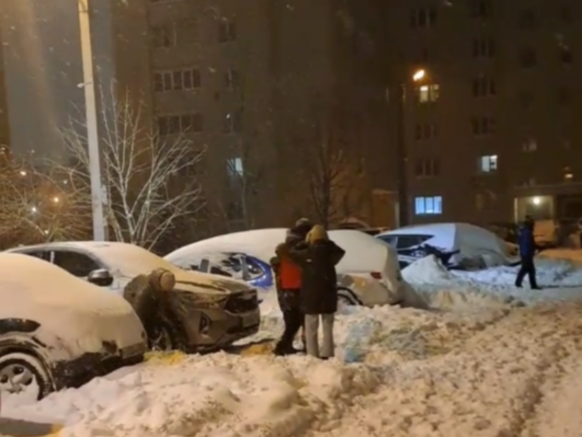 Объединились назло стихии: воронежцы взяли инициативу в свои руки, посрамив укашки