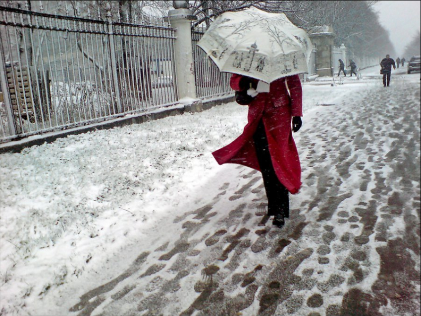 Дожди сменят снегопад в Воронеже 