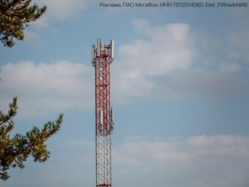 В Воронежской области увеличена скорость мобильного интернета