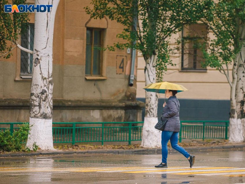 Снижение новых суточных случаев COVID-19 зафиксировали в Воронежской области