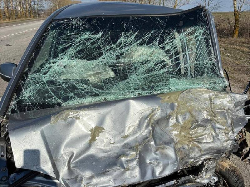 Четверо взрослых погибли, один ребёнок пострадал в лобовом ДТП в Воронежской области