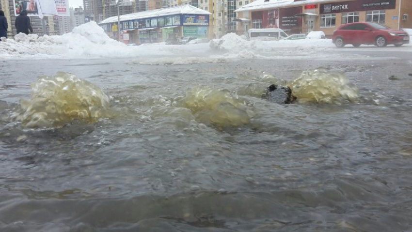 На улице Шишкова в Воронеже в который раз начал извергаться фекальный гейзер