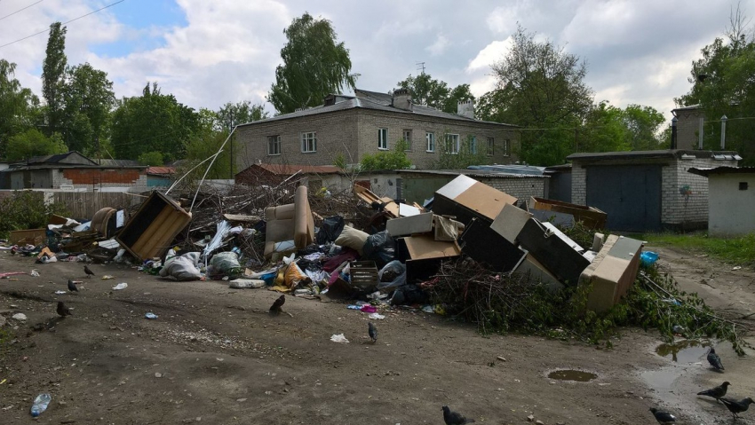 Воронежец заметил мусорный апокалипсис у детского садика