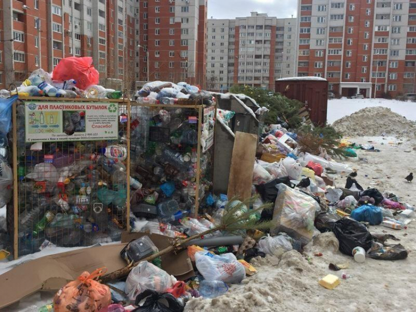Измерить мусор пуфиками предложила жительница Воронежа