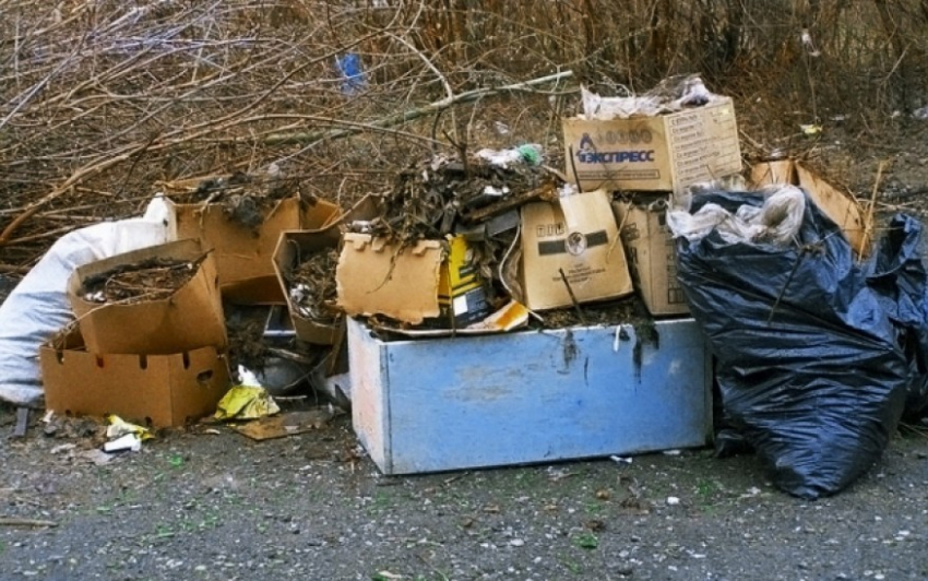 В Воронежской области образуются несанкционированные свалки мусора