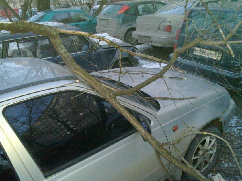 Воронежские коммунальщики заплатят автовладельцу за ветку, упавшую на крышу его машины